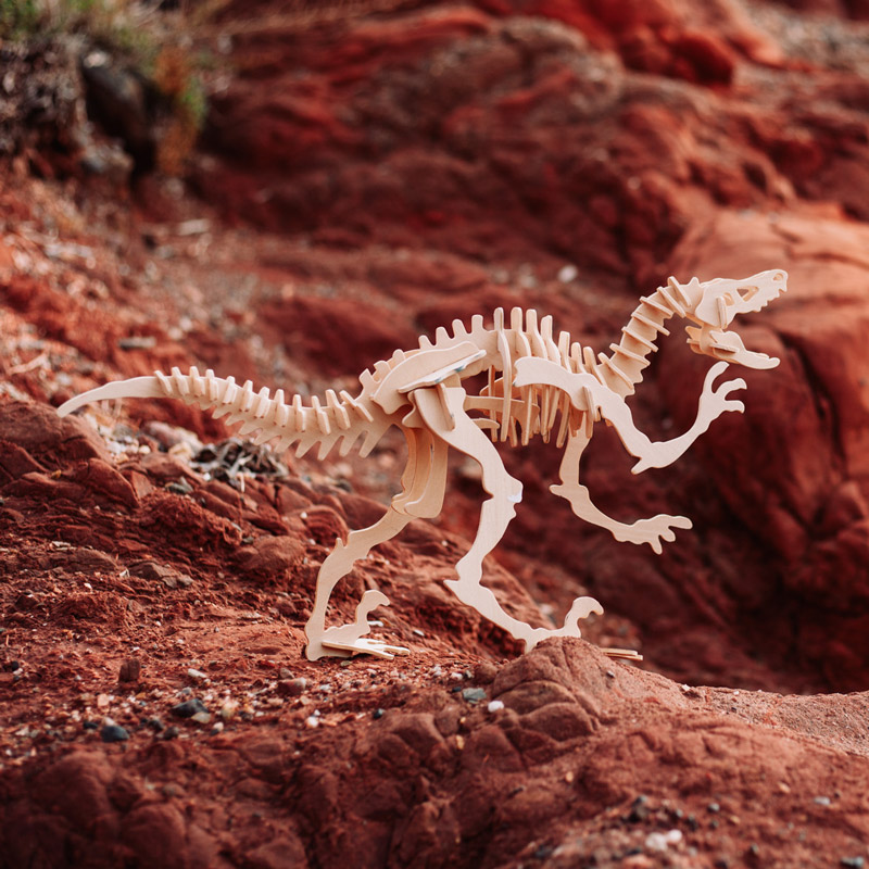 Maquetas-de-madera-Velociraptor-b Maquetas-de-madera-Velociraptor-b