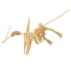 Pteranodon Pteranodon