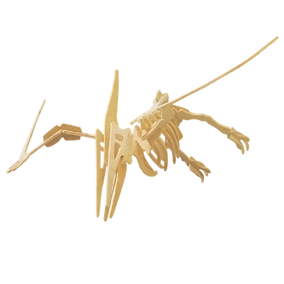 Pteranodon Pteranodon