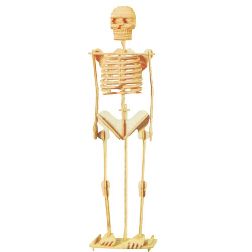 Esqueleto