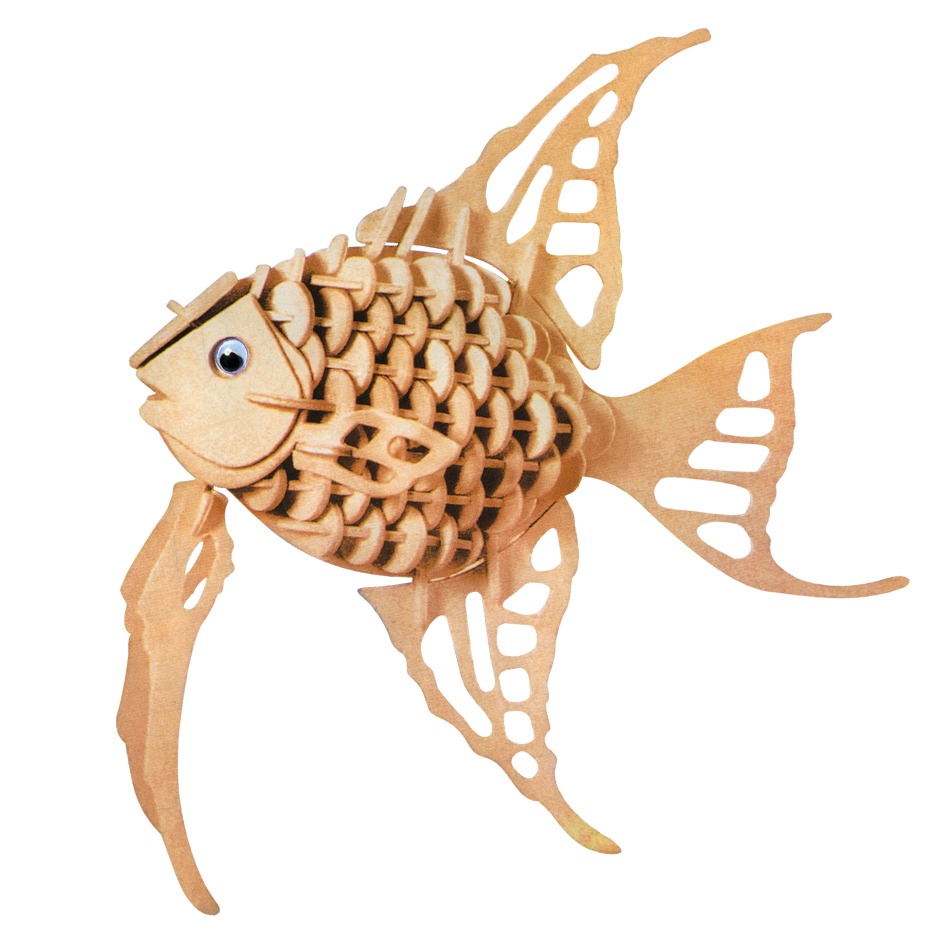 Pez ángel Pez ángel