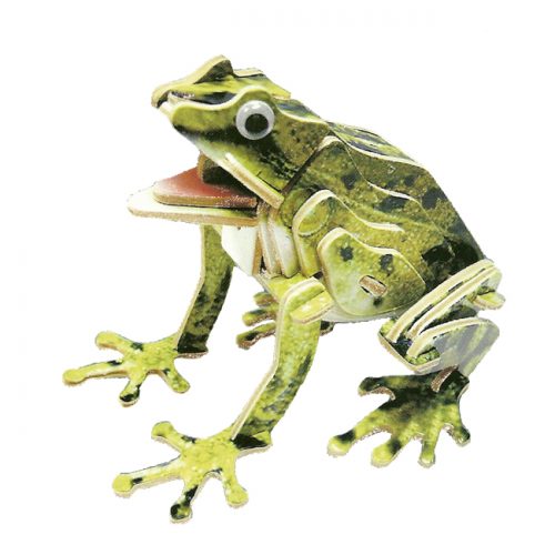rana color