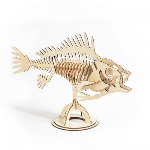 Maquetas-de-madera-Señor-Castor—Pez-abisal-1