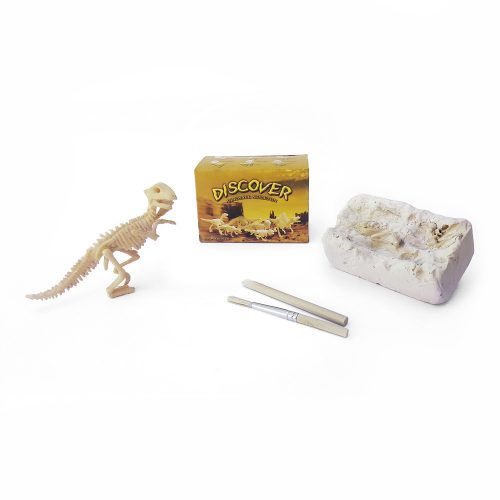 Dino-excavación-pequeño-kit